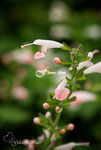 D09_0363