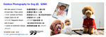 Outdoor Dog E 2009