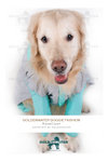 Raincoat 3