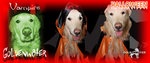 Halloween Vampire