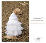 Wedding Dress to shine 01 19-4-2007