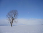 P1010135