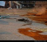 ADSC_0252