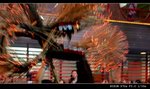 ADSC_0274