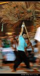 ADSC_0305