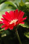 ADSC_2862