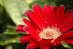 ADSC_2863