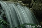 DSC_1152