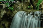 DSC_1187