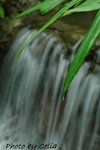 DSC_1193