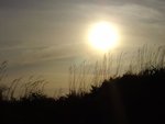 DSC02546