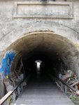 DSCN7683