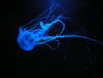 DSCN7832
