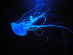 DSCN7833