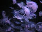 DSCN7843.