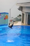 DSCN7870.