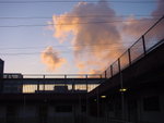 DSC02494
