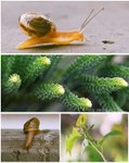 Group - Nature