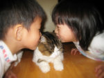 IMG_1581_8x6