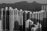 Concrete Forest