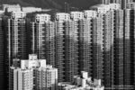 Concrete Forest