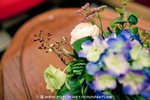 Sophia & Gavin Wedding