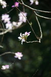 IMG_7793