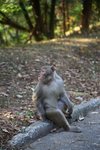 IMG_7857 (Large)