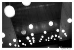 bulbs galaxy
