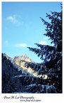mount far resized