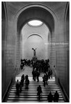 IMG_0536w