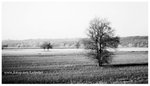 IMG_9557w