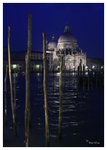 water_front_11