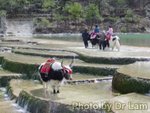 ����KunMing