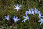 fDSC_0124
