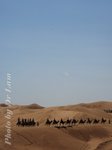 00DSC_7833
