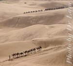 00DSC_8003