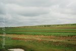 0DSC_7602