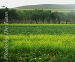 0DSC_7604