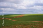 0DSC_7665