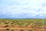 0DSC_7769