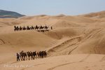 0DSC_7887