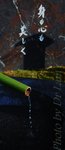 
DSC_1567 -