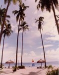 Carl Zeiss Jena 20mm - Nikon F3

@ Cebu