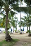 aaDSC_8641
