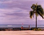 



@ Hawaii.
Hasselblad 120mm, Planner f/4.5  
