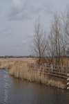 Lisse
