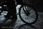 DSC_0790
