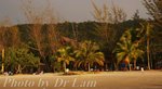 4 52pm DSCF8582