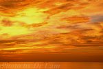 5 20pm DSCF8719